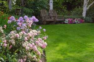 landscaping project