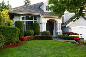 landscaping services