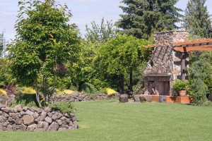 fireplaces