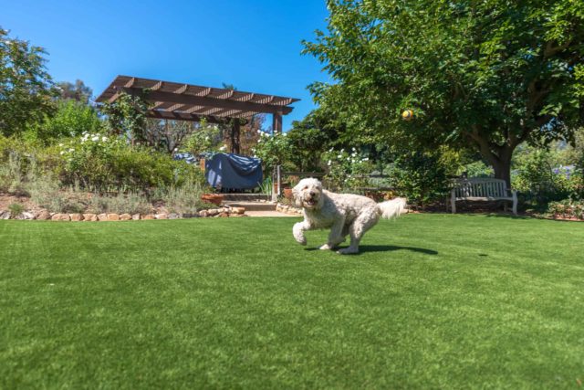 Landscaped yard at a home in Delaware